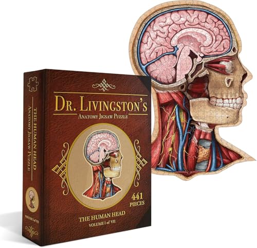 Genius Games Human Head - A Dr. Livingston's Human Anatomy 500 Piece Brain Jigsaw Puzzle - Educational 23 Inch Learning Toy for Children - Fun Kids Learn Medical Science Game - Anatomical Organs 3101 von Genius Games