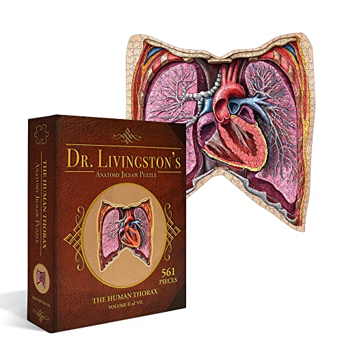 Genius Games Human Thorax - Dr. Livingston's Human Anatomy 500 Piece Heart Jigsaw Puzzle - Educational 21 Inch Learning Toy for Children - Fun Kids Learn Medical Science Game - Anatomical Organs 3102 von Genius Games