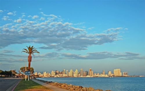 1000 Teile Puzzle für Erwachsene SAN DIEGO SKYLINE Poster Holzpuzzle Pacific Ocean Water Cool Nice A488 Herausfordernde Puzzles für Freunde Familie Wanddekoration von Geroclonup