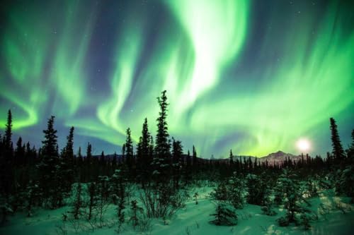 Jigsaw Puzzle 1000 Teile Nordlichter oder Aurora Borealis Alaska Foto Familie Spaß Jigsaws Puzzles 1000 Teile für Erwachsene Geschenke Herausfordernde Puzzlespiele von Geroclonup