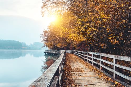 Puzzles für Erwachsene, 1000 Teile, Boardwalk Path By Lake Herbst Landschaft Foto Familie Lustige Herausfordernde Urlaub Puzzles für Erwachsene Puzzle Geschenk für Frauen Männer Senioren von Geroclonup