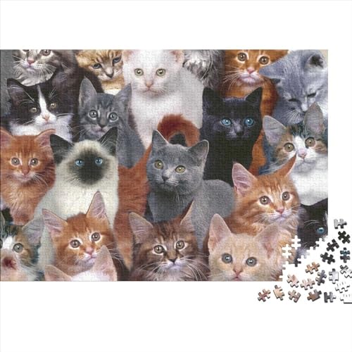 Animal Cats Puzzles Erwachsene 1000 Teile Home Decor Family Challenging Games Lernspiel Geburtstag Entspannung Und Intelligenz 1000pcs (75x50cm) von Gerrit