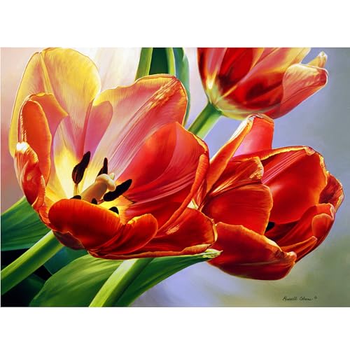 Gift Essentials 1000 Teile Puzzle, Tulpen im Frühling, Puzzle für Erwachsene und Kinder von Gift Essentials