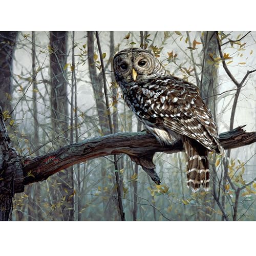 Gift Essentials 1000 Teile Puzzle Spirit of the Forest - Eule im Baum Puzzle für Erwachsene und Kinder von Gift Essentials