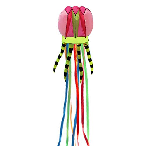 Gissroys Rainbow Tail Kite Fisch Kite Weiche Einfache Fliege Für W/Long Tail Popular Beach Aktivität Eltern Kind Unterhaltung Stunt Kites Für Erwachsene Line Professional Professional Gissroys Rainbow Tail Kite Fisch Kite Weiche Einfache Fliege Für W/Long Tail Popular Beach Aktivität Eltern Kind Unterhaltung Stunt Kites Für Erwachsene Line Professional Professional von Gissroys