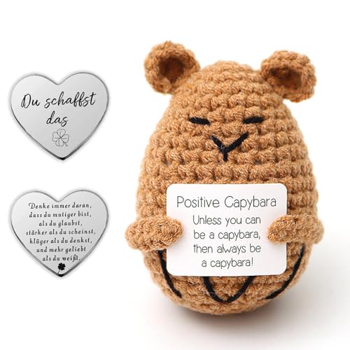 Glamifyr Pocket Hug Positive Capybara Sachen, Strickwolle Cabybara Positive Geschenke, Capybara Merch Capybara Geschenke Glücksbringer Gute Besserung Geschenke für Freundin Familie Freund Patient von Glamifyr