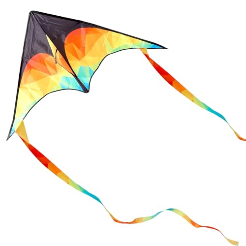 Glanxy Bunter Delta Drachen - Lenkdrachen für Kinder und Erwachsene, Einfach zu Fliegen - 125 x 65 cm Kinderdrachen, Einleiner Flugdrachen für Anfänger mit 50 m Drachenschnur für Strand Parkausflüge von Glanxy