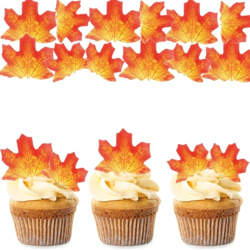 Gleevio Ahornblätter Tortendeko Essbar, 35 Stück Herbst Deko Torte Essbar, Ahornblätter Cupcake Topper, Erntedankfest Muffin Deko,Esspapier Tortendeko, Blätter Kuchendeko für Thanksgiving Gleevio Ahornblätter Tortendeko Essbar, 35 Stück Herbst Deko Torte Essbar, Ahornblätter Cupcake Topper, Erntedankfest Muffin Deko,Esspapier Tortendeko, Blätter Kuchendeko für Thanksgiving von Gleevio