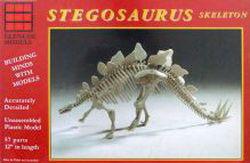 Stegosaurus Skelett von Glencoe Models