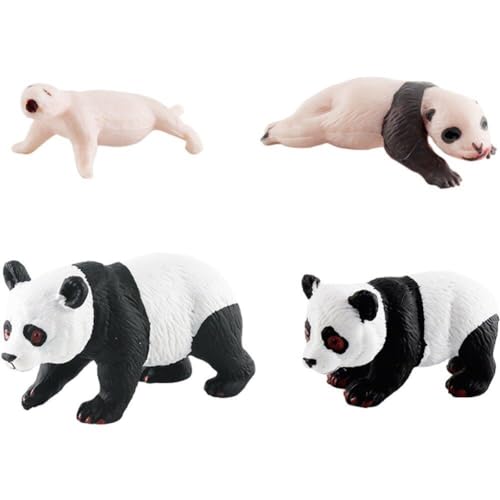 Panda-lebenszyklus-set, Tier-lebenszyklus-set, Waldtier-wachstumsfiguren, Pädagogisches Entwicklungswerkzeug Für Kinder in Der Frühpädagogik von Glixoft