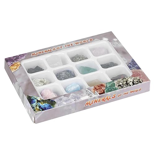 Fels- und Mineral -Kit, Kristallmineralerz -Exemplar | Mineralstein -Probe Box | Multi-Purple-Sammelwerkzeug für, Mädchen, Kinder, Kinder, Teenager von Glugahrif