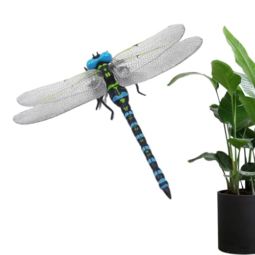 Gmokluytw Künstliche Deko – Realistische Fake Dragonfly Figur | Gartendekoration & Insektenschutz | Simulation Für Balkon Terrasse Rasen | Lernspielzeug & Modell Für Kinder Indoor Outdoor Gmokluytw Künstliche Deko – Realistische Fake Dragonfly Figur | Gartendekoration & Insektenschutz | Simulation Für Balkon Terrasse Rasen | Lernspielzeug & Modell Für Kinder Indoor Outdoor von Gmokluytw