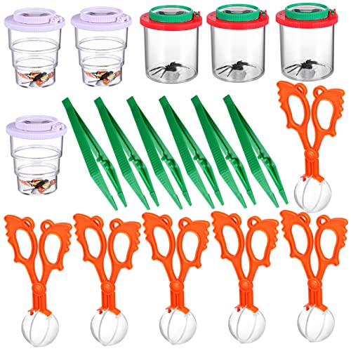 Gogogmee 1 Satz Fänger lupenbrille Magnifying Glasses zupfpinzette insektenbox Handvergrößerungsspiegel Spielzeuge Kinderspielzeug wissenschaftliche Werkzeuge Viewer-Boxen einfügen von Gogogmee