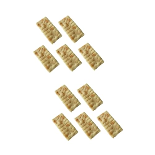 Gogogmee 10 STK Nachgemachte Soda-Cracker plätzchen dekorieren Dekorative Kekse realistische Kekscracker Kekse Fotografie Requisiten Gebäck Spielzeug Biskuit-Dekor künstliches Keksdekor PVC von Gogogmee