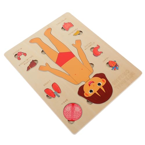 Gogogmee Holzpuzzle für Kinder Anatomisches Körper Puzzle Spielzeug Pädagogisches Lernspielzeug zur Erkennung Menschlicher Montessori Kognitives Spielzeug für Vorschulkinder Gogogmee Holzpuzzle für Kinder Anatomisches Körper Puzzle Spielzeug Pädagogisches Lernspielzeug zur Erkennung Menschlicher Montessori Kognitives Spielzeug für Vorschulkinder von Gogogmee