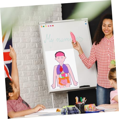 Gogogmee 2 Sätze DIY Lernspielzeug Menschlicher Körper Torso Modell Pädagogisches Organe Bastelset für Kreativität Kognition Form Farbe Gogogmee 2 Sätze DIY Lernspielzeug Menschlicher Körper Torso Modell Pädagogisches Organe Bastelset für Kreativität Kognition Form Farbe von Gogogmee