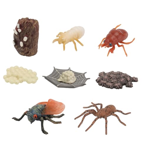 Gogogmee 2 Sätze Realistische Insekten und Tier Wachstumszyklus Modelle für Pädagogisches Lernspielzeug aus Sicherem Kunststoff Fördert Naturerkenntnis und Wissenschaftsbildung Gogogmee 2 Sätze Realistische Insekten und Tier Wachstumszyklus Modelle für Pädagogisches Lernspielzeug aus Sicherem Kunststoff Fördert Naturerkenntnis und Wissenschaftsbildung von Gogogmee