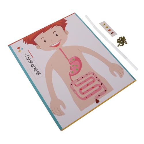 Gogogmee 4 Sätze Teiliges DIY Modell Interaktives Lernspielzeug für Realistische Struktur Fördert Feinmotorik und Kognitive Fähigkeiten Geeignet für Vorschule und Mittelschule Gogogmee 4 Sätze Teiliges DIY Modell Interaktives Lernspielzeug für Realistische Struktur Fördert Feinmotorik und Kognitive Fähigkeiten Geeignet für Vorschule und Mittelschule von Gogogmee