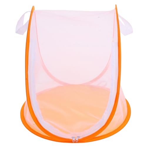 Gogogmee Faltbarer Mini Schmetterlingsgehege Käfig mit Großem Reißverschluss Netz Insekten Terrarium für Naturbeobachtung Schmetterlingszucht und Wissenschaftliche Experimente Gogogmee Faltbarer Mini Schmetterlingsgehege Käfig mit Großem Reißverschluss Netz Insekten Terrarium für Naturbeobachtung Schmetterlingszucht und Wissenschaftliche Experimente von Gogogmee