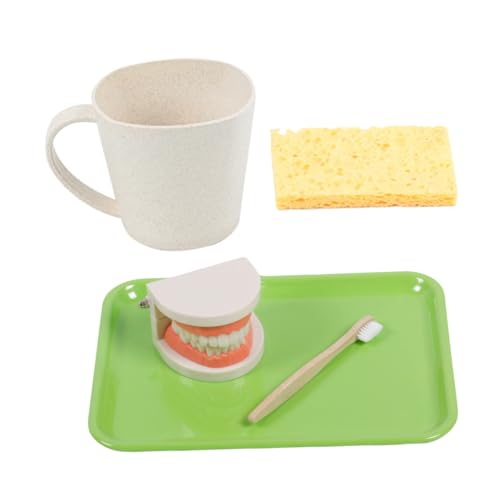 Gogogmee Kinderzahnpflegeset mit Zahnmodell und Zahnbürste Pädagogisches Lernspielzeug für Vorschulkinder Interaktives Rollenspiel für Zahnpflege und Gogogmee Kinderzahnpflegeset mit Zahnmodell und Zahnbürste Pädagogisches Lernspielzeug für Vorschulkinder Interaktives Rollenspiel für Zahnpflege und von Gogogmee