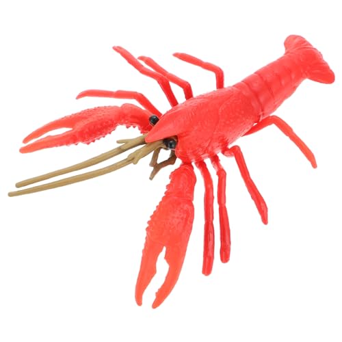 Gogogmee Lebensechtes Hummer Modellspielzeug Lernspielzeug Kreative Deko für Strand und Meer Realistische Hummerform Pädagogisches Kleinkindspielzeug Vorstellungskraft und Kognition Gogogmee Lebensechtes Hummer Modellspielzeug Lernspielzeug Kreative Deko für Strand und Meer Realistische Hummerform Pädagogisches Kleinkindspielzeug Vorstellungskraft und Kognition von Gogogmee