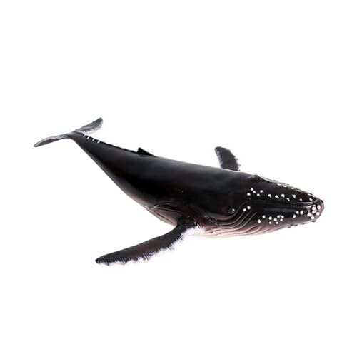 Gogogmee Lifelike Buckelwal Modell aus Premium Kunststoff Realistische Meerestiere Figur Dekoratives Aquarium Geschenk für Sammelfigur für Zuhause und Büro Gogogmee Lifelike Buckelwal Modell aus Premium Kunststoff Realistische Meerestiere Figur Dekoratives Aquarium Geschenk für Sammelfigur für Zuhause und Büro von Gogogmee