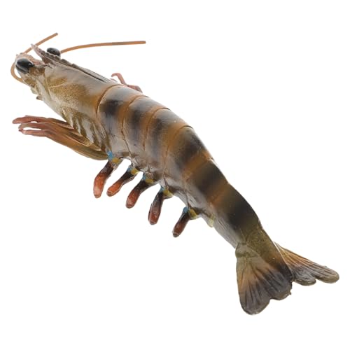 Gogogmee Pädagogisches Realistisches Garnelenspielzeug Kunststoff Modell Meerestier Deko Lernspielzeug Ab Jahren für Spielparty und Wohnraumdekoration Gogogmee Pädagogisches Realistisches Garnelenspielzeug Kunststoff Modell Meerestier Deko Lernspielzeug Ab Jahren für Spielparty und Wohnraumdekoration von Gogogmee