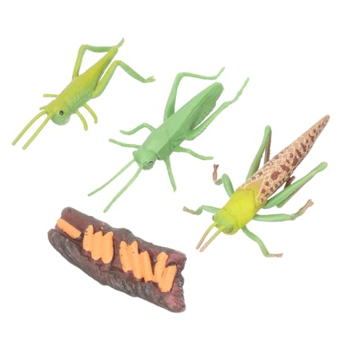 Gogogmee Realistisches Tierwachstumszyklus Modell Montessori Lernspielzeug für Pädagogisch Langlebig Detailgetreu für Vorschule und Naturkundeunterricht Gogogmee Realistisches Tierwachstumszyklus Modell Montessori Lernspielzeug für Pädagogisch Langlebig Detailgetreu für Vorschule und Naturkundeunterricht von Gogogmee