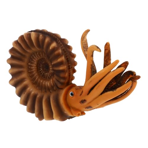 Gogogmee Simulation Tierfigur Nautilus Kognitive Leichtes Sicheres Kunststoffmodell als Lernspielzeug und Dekoration für Mädchen und Jungen Ab Jahren Gogogmee Simulation Tierfigur Nautilus Kognitive Leichtes Sicheres Kunststoffmodell als Lernspielzeug und Dekoration für Mädchen und Jungen Ab Jahren von Gogogmee