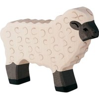 Schwarzkopfschaf Schwarzkopfschaf von Gollnest & Kiesel KG