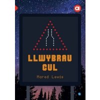 Cyfres Amdani: Llwybrau Cul von Gomer Press