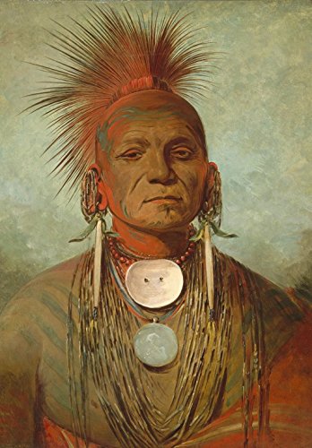 Grafika George Catlin: See-non-ty-a, an Iowa Medicine Man, 1844-1845 - 104 Teile von Grafika Kids