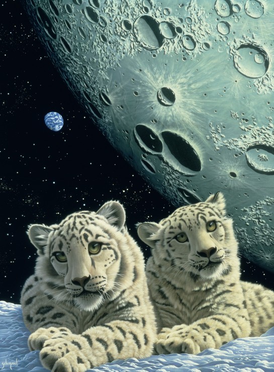 Grafika Schim Schimmel - Lair of the Snow Leopard 2000 Teile Puzzle Grafika-F-30687 Grafika Schim Schimmel - Lair of the Snow Leopard 2000 Teile Puzzle Grafika-F-30687 von Grafika