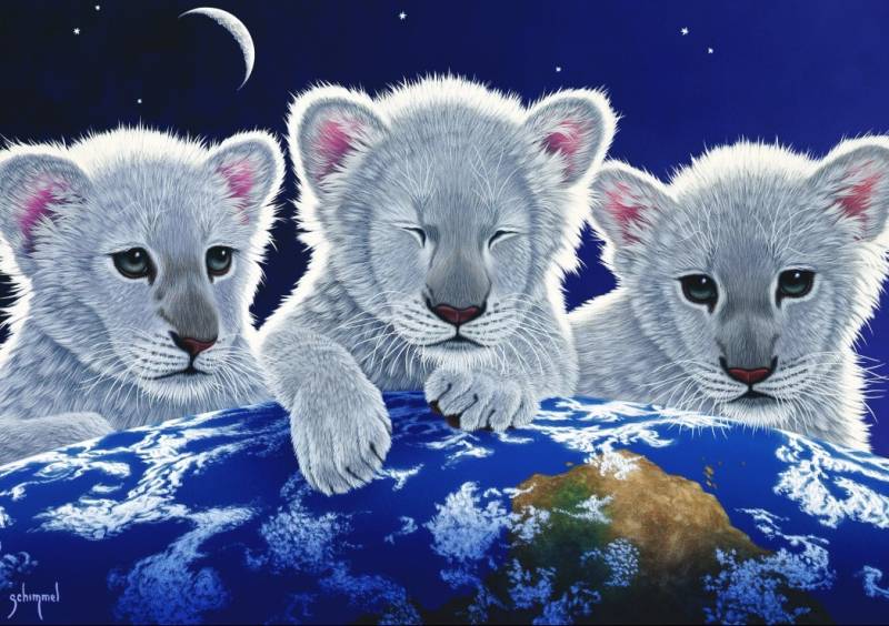 Grafika Schim Schimmel - Secret, Mystery and Hope 1500 Teile Puzzle Grafika-T-00403 Grafika Schim Schimmel - Secret, Mystery and Hope 1500 Teile Puzzle Grafika-T-00403 von Grafika