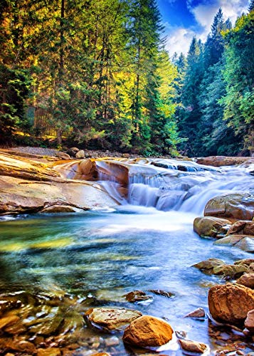 Puzzle 500 Teile - Schöner Wasserfall im Wald von Grafika