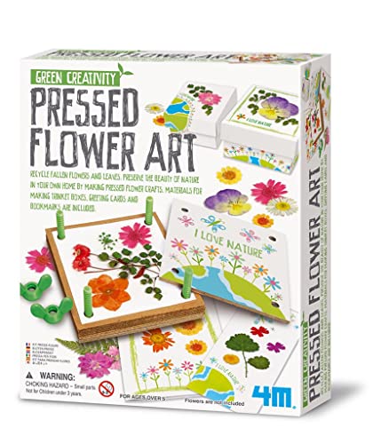 4M Green Creativity Pressed Flower Art von 4M