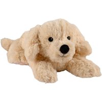 Warmies 1243 - Golden Retriever, Wärmestofftier von Greenlife Value GmbH