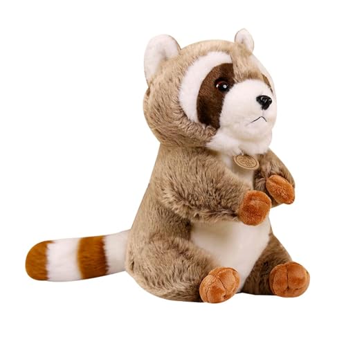 GudiWH Cartoon Eichhörnchen Waschbär Plüsch Spielzeug Niedliche weiche schöne Kissen Puppen für Geburtstag Festival Geschenk 30cm 1 von GudiWH