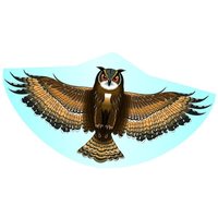 Paul Günther 1193 - Eule Kinder-Drachen, Vogel-Drachen, 122 x 68 cm Paul Günther 1193 - Eule Kinder-Drachen, Vogel-Drachen, 122 x 68 cm von Günther Flugspiele