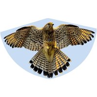Paul Günther 1230 - Kinderdrachen Falke, Einleiner-Drachen, 92x62 cm Paul Günther 1230 - Kinderdrachen Falke, Einleiner-Drachen, 92x62 cm von Günther Flugspiele