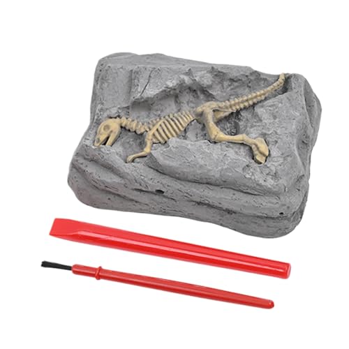 Gupcaqosjw Dino Ausgrabungsset Für Kinder | Dinosaurier Skelett Ausgrabungsset,Fossilienset Wissenschaftliches Lernspiel Geburtstagsgeschenk Bastelprojekt Aktivität für Kinder Gupcaqosjw Dino Ausgrabungsset Für Kinder | Dinosaurier Skelett Ausgrabungsset,Fossilienset Wissenschaftliches Lernspiel Geburtstagsgeschenk Bastelprojekt Aktivität für Kinder von Gupcaqosjw