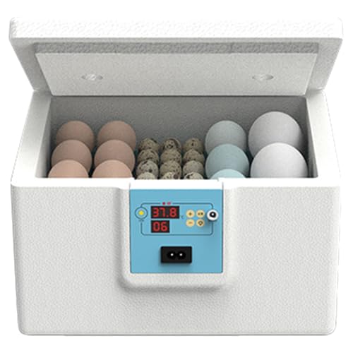 Eierbrutator, Haushaltswachtelbrutschrank, Schaumstoff, elektronische Komponenten, halbautomatische thermostatische Inkubationsmaschine für Wissenschaft, Klassenzimmer, Bauernhof, Labor, Taube Eierbrutator, Haushaltswachtelbrutschrank, Schaumstoff, elektronische Komponenten, halbautomatische thermostatische Inkubationsmaschine für Wissenschaft, Klassenzimmer, Bauernhof, Labor, Taube von Gvblkq