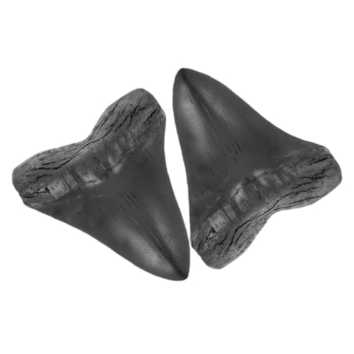 HAMPPLIES 2 Stück Teiliges Megalodon Ersatzteil Nachbildung Resin Dekoration Präzise Modellierung Leicht Tragbar als Geschenk für Geschichts Naturkundefans HAMPPLIES 2 Stück Teiliges Megalodon Ersatzteil Nachbildung Resin Dekoration Präzise Modellierung Leicht Tragbar als Geschenk für Geschichts Naturkundefans von HAMPPLIES