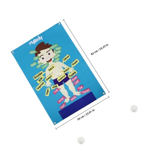 HANABASS Großes Filz lerntafel für Vorschulkinder Kognitives Human Body Activity Board Interaktives Lernspielzeug zur Frühförderung Pädagogisches Wandbrett mit Buntem Cartoon Design HANABASS Großes Filz lerntafel für Vorschulkinder Kognitives Human Body Activity Board Interaktives Lernspielzeug zur Frühförderung Pädagogisches Wandbrett mit Buntem Cartoon Design von HANABASS
