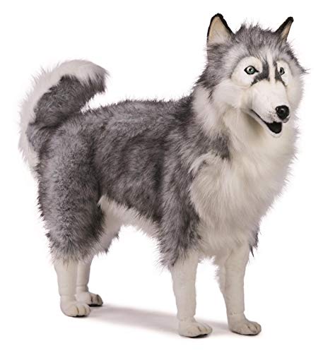 5047 - Hansa Toy - Husky grau 70 cm von HANSA