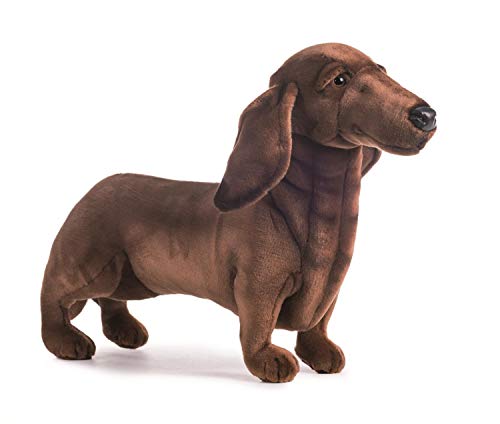 Hansa 3876 Plüsch Miniatur-Dackel – Realistischer Kuschelhund 59 cm – Handgefertigt & Lebensechtes Design – Perfektes Geschenk für Hundefans von Hansa