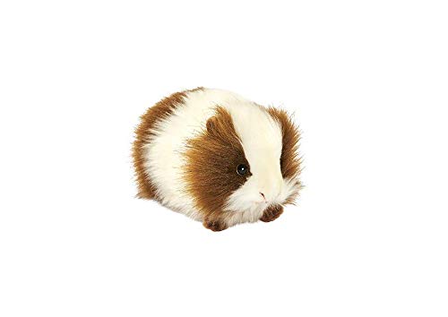 Hansa Toy - 3735 - Meerschweinchen 20 cm - 2 fach sortiert von HANSA