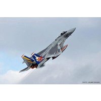 HASEGAWA 602153 1:72 F15J Eagle 204Sq von HASEGAWA