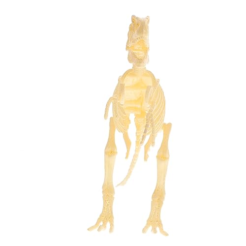 HAWILLOSCH 1 Satz Dinosaurier-skelettmodell Dinosaurier-Modell Für Kinder Dinosaurier Skelette Spielzeug Dinosaurierspielzeug Für Kinder Knochen Spielzeug Dinosaurier-dekor Tierspielzeug PVC von HAWILLOSCH