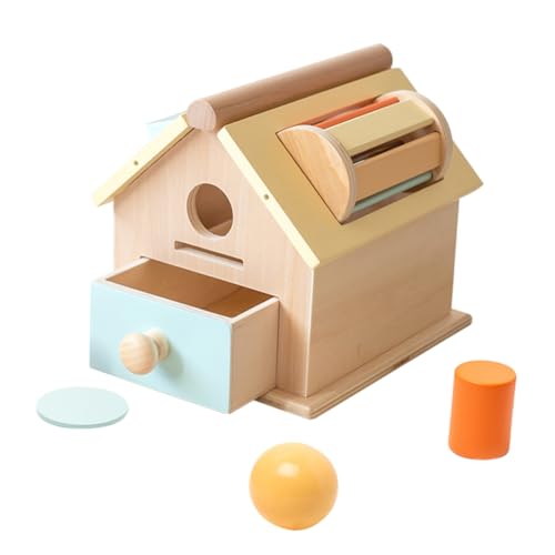 HAWILLOSCH Montessori Holzspielzeug Drop Münzbox Set für Kleinkinder Frühlernspielzeug von HAWILLOSCH